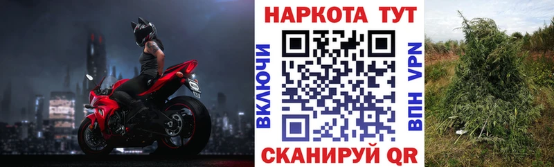 Купить наркотик Кропоткин Alpha-PVP  ГАШИШ  Cocaine 